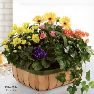 Basket Flower Arrangement S36-4524s