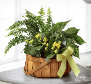 Basket Flower Arrangement S5293s