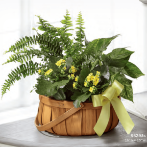 Basket Flower Arrangement S5293s