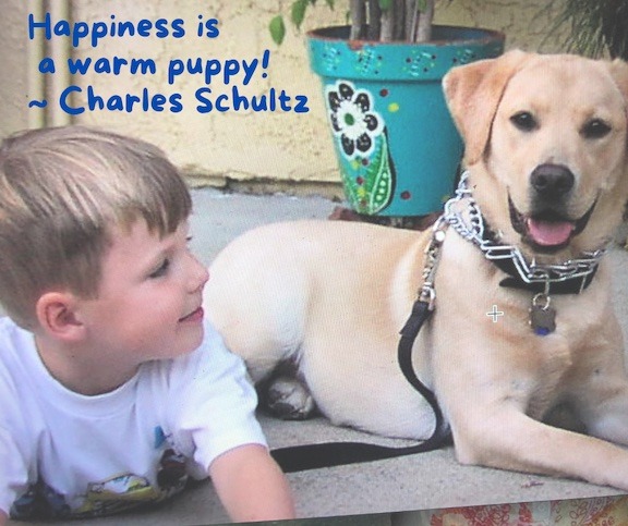 Little boy with a yellow lab. Words read: Happiness is a warm puppy! ~ Charles Schultz