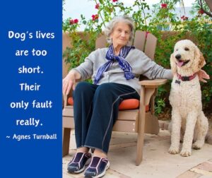 Older woman sitting on a bench next to a large poodle.