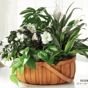 Basket Flower Arrangement S5258s