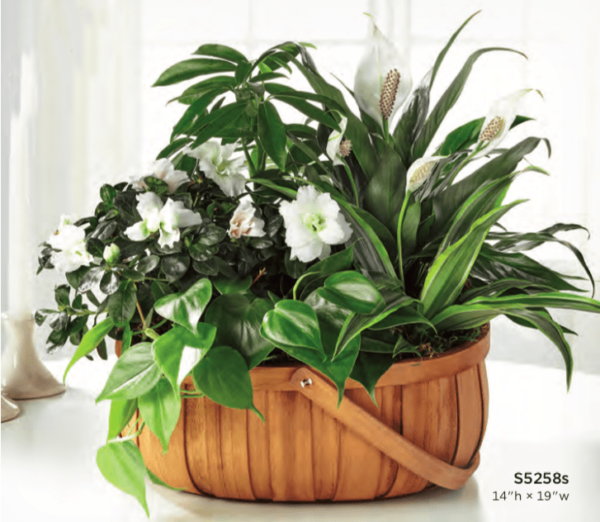 Basket Flower Arrangement S5258s