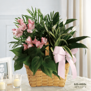 Basket Flower Arrangement S25-4493s