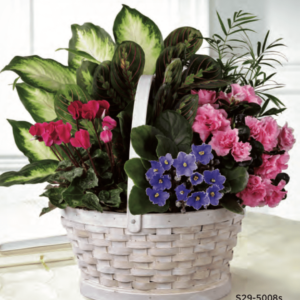 Basket Flower Arrangement S29-5008s