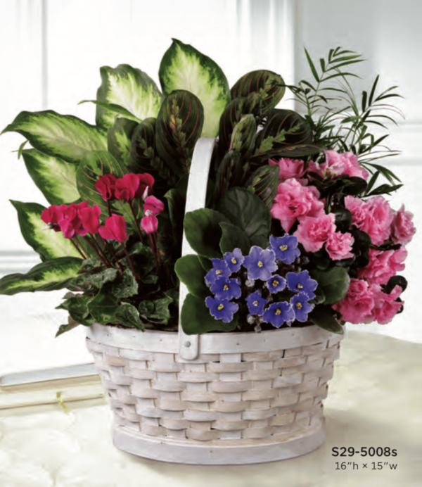 Basket Flower Arrangement S29-5008s