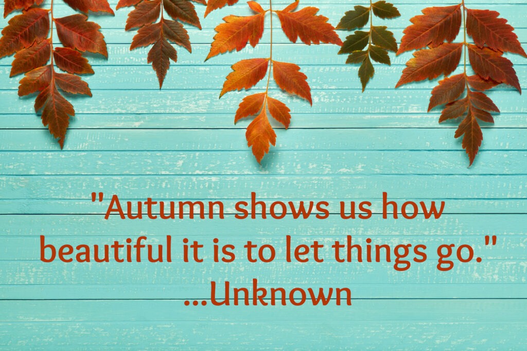 Quote, "Autumn shows us how beautiful it is to let things go." by Unknown