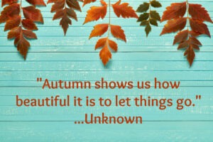 Quote, "Autumn shows us how beautiful it is to let things go." by Unknown