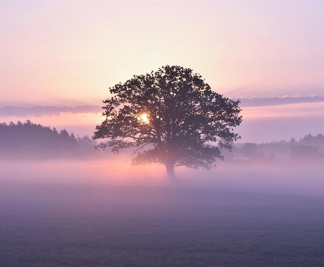 Your paragraph text - 1