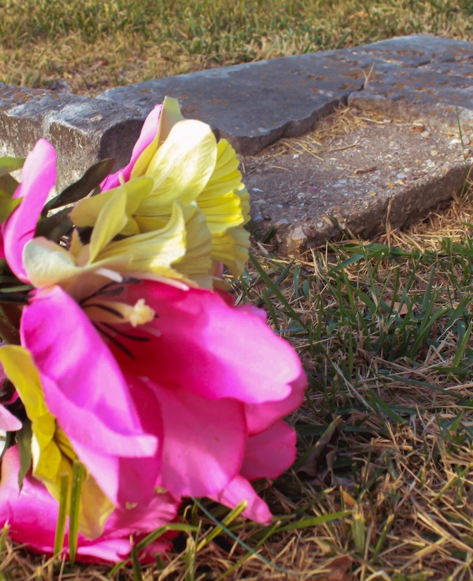 Lilies lying next to a grave marker