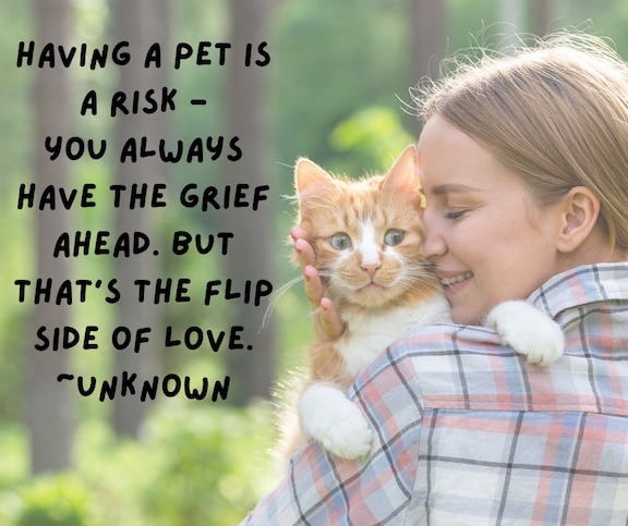 Woman with a cat - reads: Having a pet is a risk, you always have the grief ahead, but that's the flip side of love.